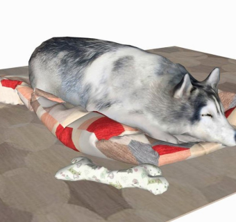 精品动物模型-狗 (8)